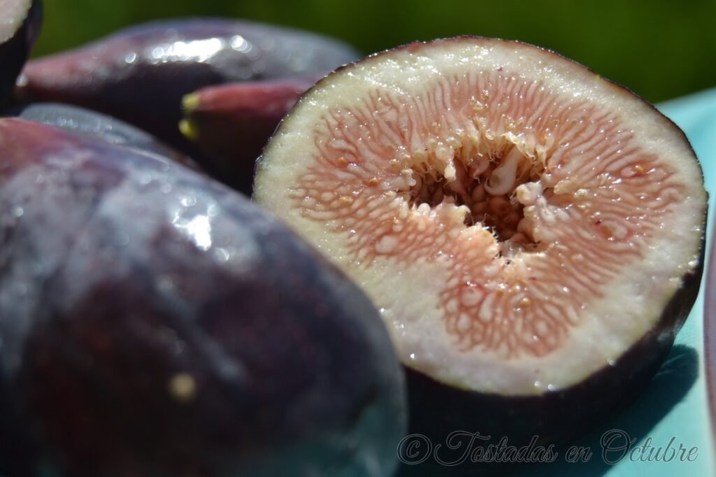 Bizcocho de Higos con Chocolate